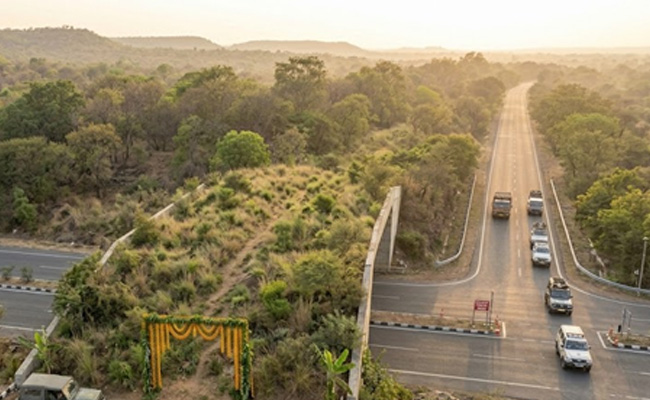 Overpass connecting multiple wildlife habitats opened for one-sided traffic near Ranthambore